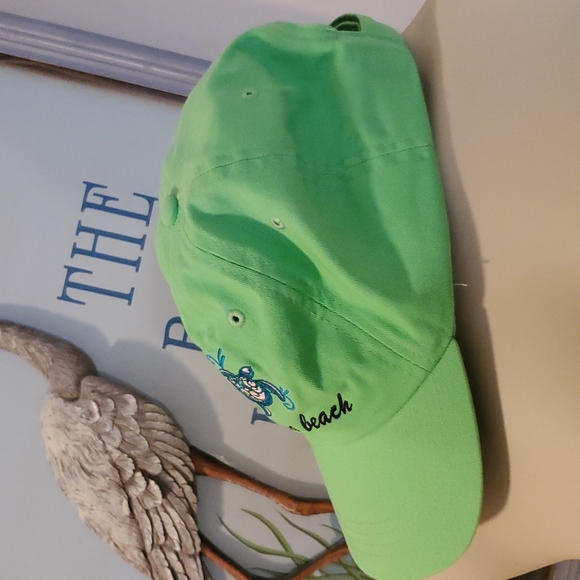 Daytona Beach ⛱️ turtle cap - Picture 2 of 4